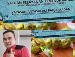 Ketua Umun Gawaris Angkat Bicara Gizi atau Ancaman? Buah Berbelatung di MBG Pakenjeng Picu Desakan Audit dan Evaluasi Total