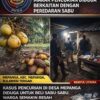 Warga Mepanga Resah! Marak Pencurian Diduga Berkaitan dengan Peredaran Sabu