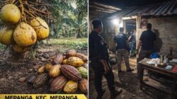 Warga Mepanga Resah! Marak Pencurian Diduga Berkaitan dengan Peredaran Sabu