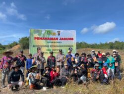 Polsek Sangkulirang Bersama Warga Tanam Jagung Hibrida, Perkuat Ketahanan Pangan Desa Sempayau