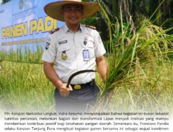 Dukung Program Aksi Kemenimipas, Karutan Tanjung Pura Sukses Ikuti Panen Padi Bersama Lapas Narkotika Langkat di Lahan Pasdu