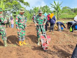 TMMD ke-128 Garut: Gandeng Dinas Pertanian, Warga Tanam Jagung di Situ Ranca
