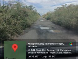 Ironi Jalur Logistik Teluk Segintung: Jalan Berlubang, Irigasi Tersumbat, Ke Mana Anggaran Perawatan?