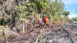 Respons Cepat, Satbrimob Polres Berau Turun Tangan Padamkan Kebakaran Hutan di Labanan