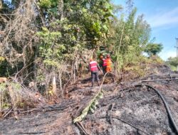 Respons Cepat, Satbrimob Polres Berau Turun Tangan Padamkan Kebakaran Hutan di Labanan