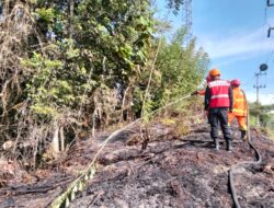 Respons Cepat, Satbrimob Polres Berau Turun Tangan Padamkan Kebakaran Hutan di Labanan