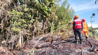 Respons Cepat, Satbrimob Polres Berau Turun Tangan Padamkan Kebakaran Hutan di Labanan