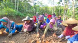 Semangat Gotong Royong Warga Desa Mekarmulya, Ibu-ibu Turun Tangan Bantu Perkeras Jalan dalam Giat TMMD ke-128 Kodim 0611/Garut