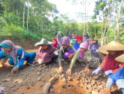Semangat Gotong Royong Warga Desa Mekarmulya, Ibu-ibu Turun Tangan Bantu Perkeras Jalan dalam Giat TMMD ke-128 Kodim 0611/Garut