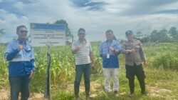 Polsek Bengalon Tinjau Perkembangan Jagung dan Persiapan Tanam Semangka di Desa Sepaso