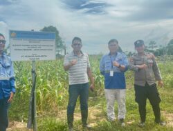 Polsek Bengalon Tinjau Perkembangan Jagung dan Persiapan Tanam Semangka di Desa Sepaso