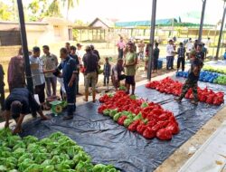 Di Tengah Pemulihan Pascabencana, Semangat Kurban Warga Gampong Alue Dama Tetap Tinggi, 5 Sapi dan 2 Kambing Berhasil Dikurbankan