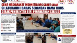 GEMA MASYARAKAT INDONESIA DPC GARUT GELAR SILATURAHMI BAHAS SERANGAN HAMA TIKUS, DESAK PEMERINTAH BERI PENANGANAN SERIUS