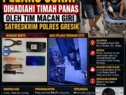 Nekat Lawan Petugas, Pelaku Curat Dihadiahi Timah Panas oleh Tim Macan Giri Satreskrim Polres Gresik