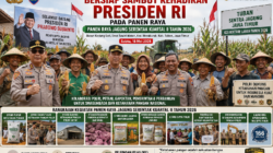 Polri Bersama Petani Jagung Tuban Bersiap Sambut Kehadiran Presiden RI pada Panen Raya