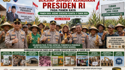 Polri Bersama Petani Jagung Tuban Bersiap Sambut Kehadiran Presiden RI pada Panen Raya