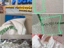 Diduga Beras Bantuan Pangan Bulog untuk 11 Desa di Banjarwangi Garut Kurang Timbangan, Rata-rata Hanya 8,5 Kg