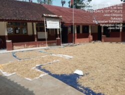 Miris, Halaman SDN 2 Sukalilah Diduga Dijadikan Tempat Menjemur Padi Saat Jam Belajar Berlangsung