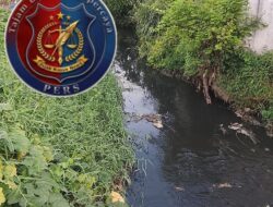 Dugaan Limbah Peternakan Babi dan Pabrik Mi Instan Ancam Kesehatan Warga, Aparat Diminta Bertindak Tegas