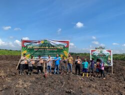 Polsek Bengalon Kawal Program Ketahanan Pangan, Tanam Jagung Bersama Poktan Tirta Jaya di Desa Sekrat