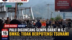 Palu Diguncang Gempa Darat Magnitudo 6,7, BMKG: Tidak Berpotensi Tsunami