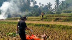 Polri Gerak Cepat Tangani Penemuan Mayat Tanpa Identitas di Area Persawahan Malangbong