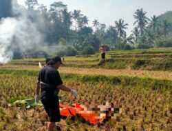 Polri Gerak Cepat Tangani Penemuan Mayat Tanpa Identitas di Area Persawahan Malangbong