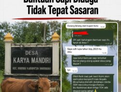 Didata Tapi Tak Menerima, Warga Karya Mandiri Keluhkan Bantuan Sapi Diduga Tidak Tepat Sasaran