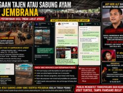 LAPORAN DUGAAN TAJEN ATAU SABUNG AYAM DI JEMBRANA: PUBLIK PERTANYAKAN HASIL TINDAK LANJUT APARAT