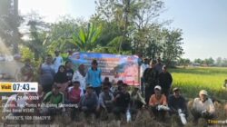Hut Bhayangkara Ke-80 Dua Gapoktan di Cipeles Tomo Bersama Polri Basmi 471 Ekor Hama Tikus di Lahan 20 HA