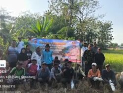 Hut Bhayangkara Ke-80 Dua Gapoktan di Cipeles Tomo Bersama Polri Basmi 471 Ekor Hama Tikus di Lahan 20 HA