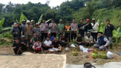 Hut Bhayangkarra Ke – 80 Posek Sumedang Utara Bersama Kelompok Tani Legok Sirnamulya Geber Pembasmian Hama Tikus di Blok Sawah Cibaros