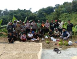 Hut Bhayangkarra Ke – 80 Posek Sumedang Utara Bersama Kelompok Tani Legok Sirnamulya Geber Pembasmian Hama Tikus di Blok Sawah Cibaros