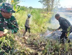 Forkopimcam Ujungjaya Padamkan Karhutla di Lahan Perhutani