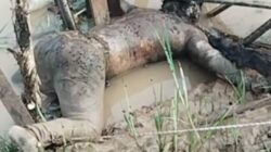 Warga Bandar Tenggulang (SP2) Babat Supat Temukan Mayat di Sungai Primer