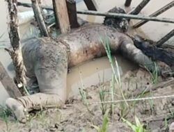 Warga Bandar Tenggulang (SP2) Babat Supat Temukan Mayat di Sungai Primer