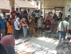 Peserta Lomba Mancing Hajat Laut Rancabuaya Pamerkan Hasil Tangkapan, Perebutkan Gelar Juara