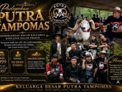 PUTRA TAMPOMAS, PADEPOKAN YANG TUMBUH DI KAKI GUNUNG TAMPOMAS DAN TERUS MENJAGA TRADISI DOMBA GARUT