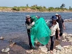 Tradisi Ngagugudeg Kembali Ramai, Warga Serbu Sungai Cikandang dan Cigebang Berburu Ikan Menga Secara Tradisional