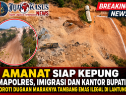 AMANAT Siap Kepung Mapolres, Kantor Imigrasi dan Kantor Bupati, Soroti Dugaan Maraknya Tambang Emas Ilegal di Lantung