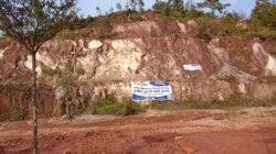 Diduga Ilegal dan Tanpa AMDAL, BP Batam Tertibkan Spanduk Penjualan Lahan 8.000 Hektare di Baloi Kolam