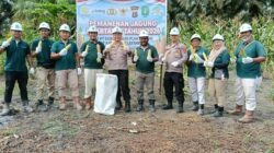 Jagung Dilanda Kemarau, Polsek Muara Wahau Panen 2,5 Hektare di Lahan PT SAP