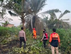 5 Hektare Belukar Terbakar! Polisi dan BPBD Berjibaku Padamkan Karhutla di Sangatta Utara