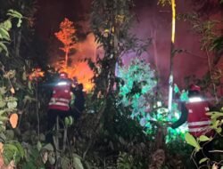 *Sat Brimob Polda Kaltim Gerak Cepat Padamkan Karhutla di Balikpapan dan Kutai Barat, Libatkan Tim Gabungan dan Masyarakat*