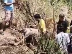 PEMBUNUHAN MENGGEGERKAN CISOMPET GARUT, LANSIA 75 TAHUN TEWAS DIHANTAM BATU, TERDUGA PELAKU DIDUGA ODGJ