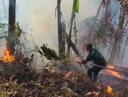 Yonif 301/Pks Bersama Damkar Sumedang Padamkan Karhutla di Samping Gerbang Tol Cimalaka