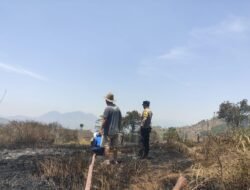 Kebakaran Lahan Ilalang 3 Hektare di Cimanggung Berhasil Dipadamkan