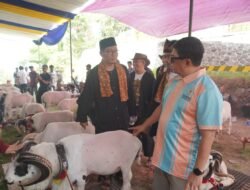 *Bupati Garut Dorong Pengembangan Domba Garut untuk Perkuat Ekonomi Masyarakat*