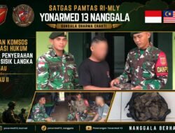 Gencarkan Komsos dan Edukasi Hukum, Satgas Pamtas Yonarmed 13/Nanggala Terima Penyerahan Sukarela ±1 Kg Sisik Trenggiling dari Warga Perbatasan