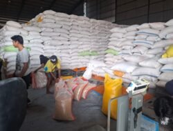 4 Ton Jagung Hasil Kemitraan Polsek Bengalon Disetor ke Bulog Samarinda
